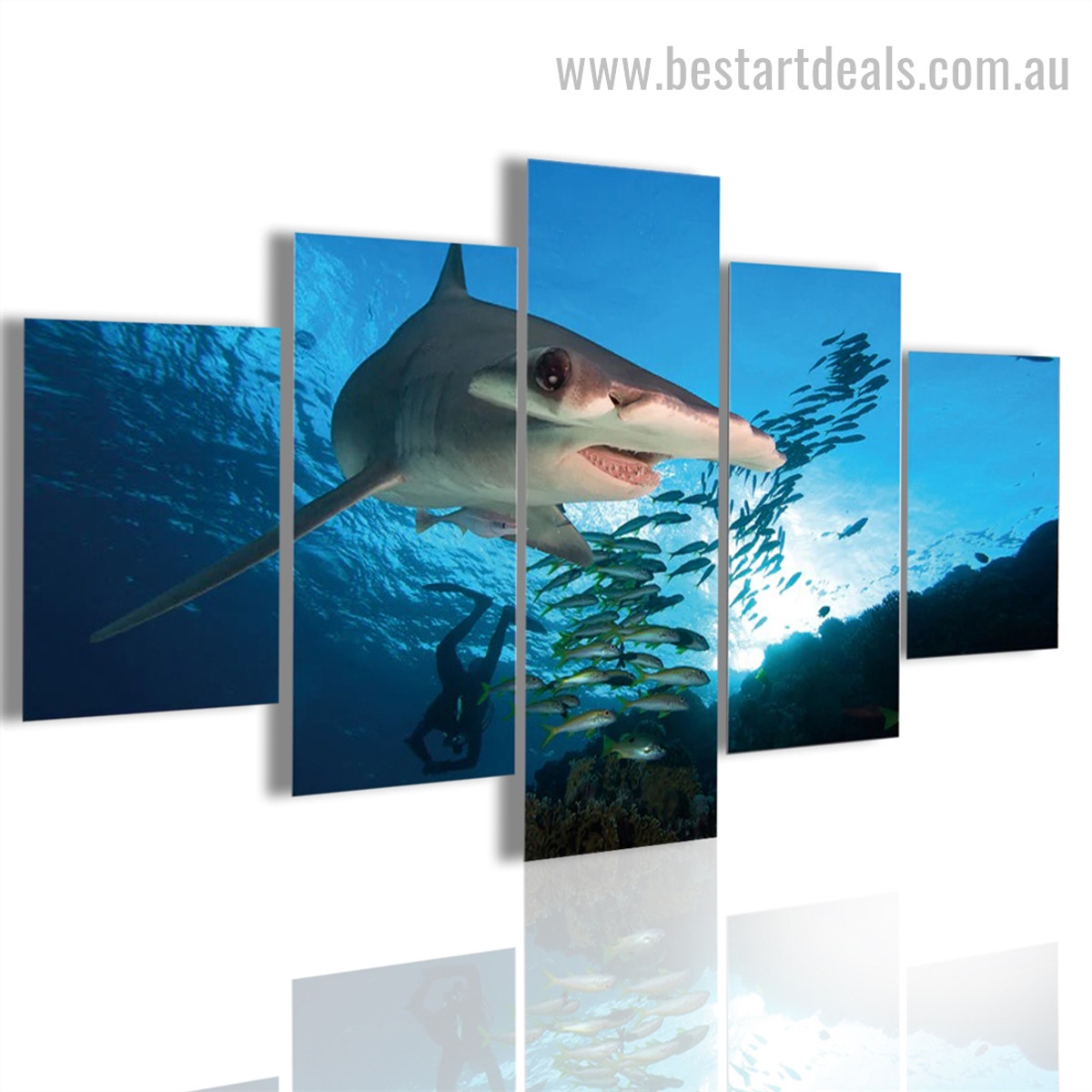 Hammerhead Shark Seascape Animal Modern Framed Painting Pic Canvas Print