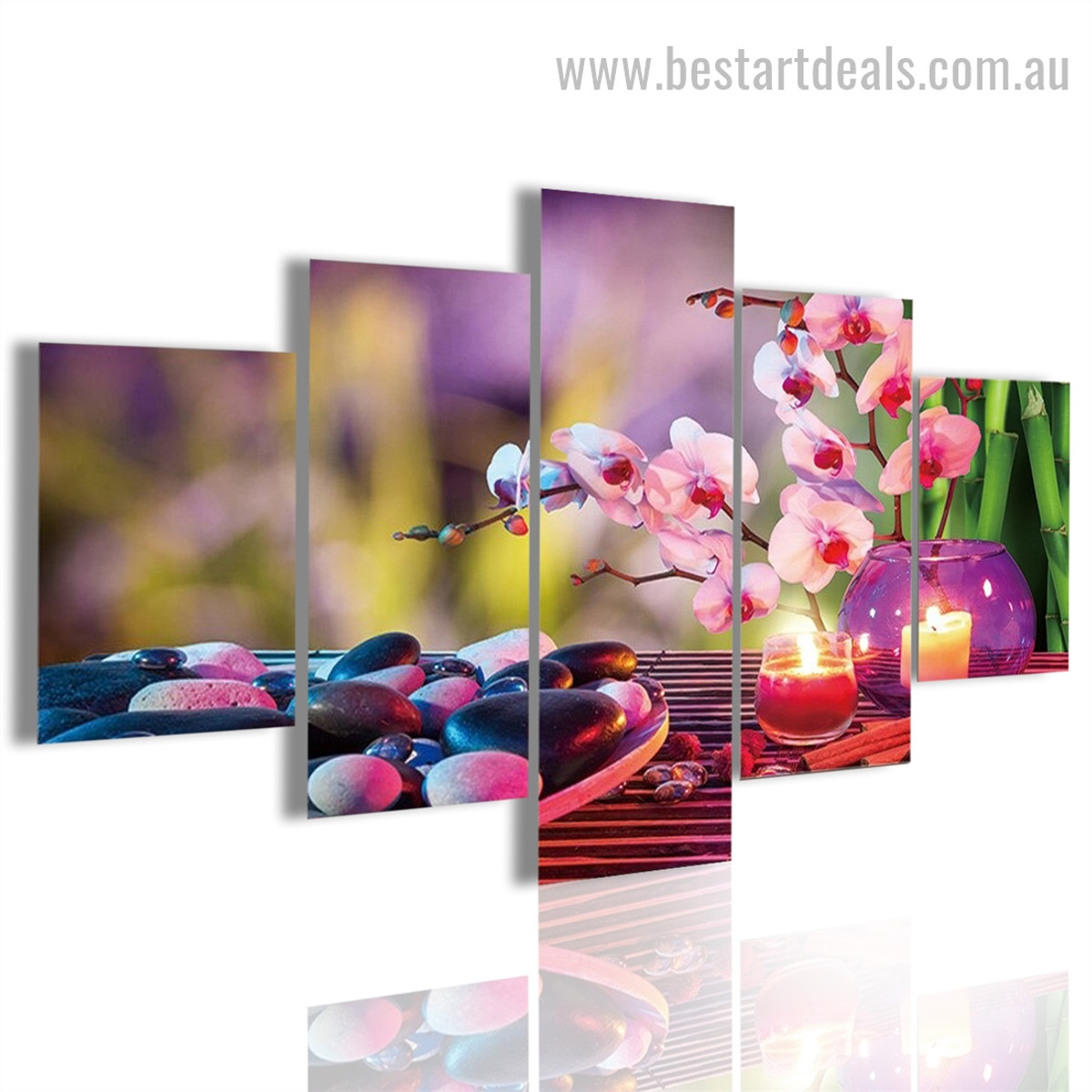 Stones and Orchids Still Life Nature Modern Framed Painting Photo Canvas Print