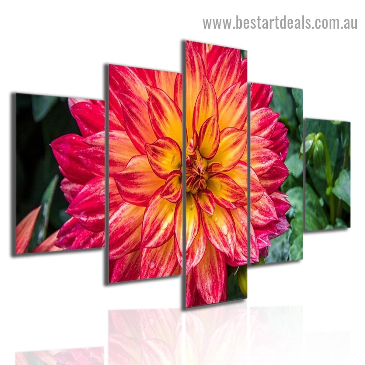 Beautiful Flower Plants Botanical Modern Artwork 5 Panel Split Canvas Print for Room Wall Garniture