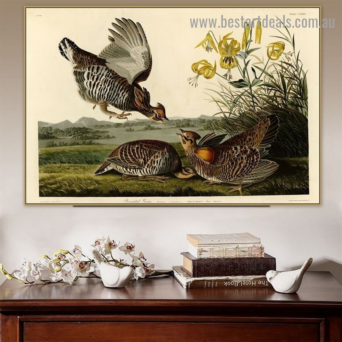 Pinnated Grouse John James Audubon Bird Landscape Ornithologist Reproduction Portrait Image Canvas Print for Room Wall Decoration