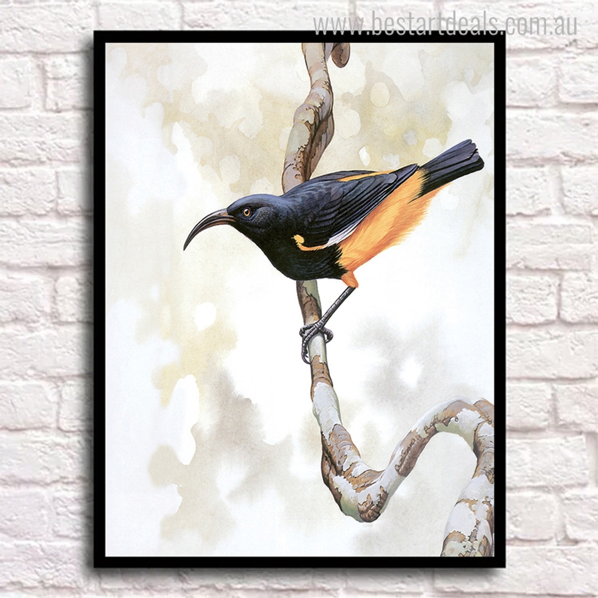 Ruby-Throated Bird Animal Modern Painting Canvas Print for Wall Decor