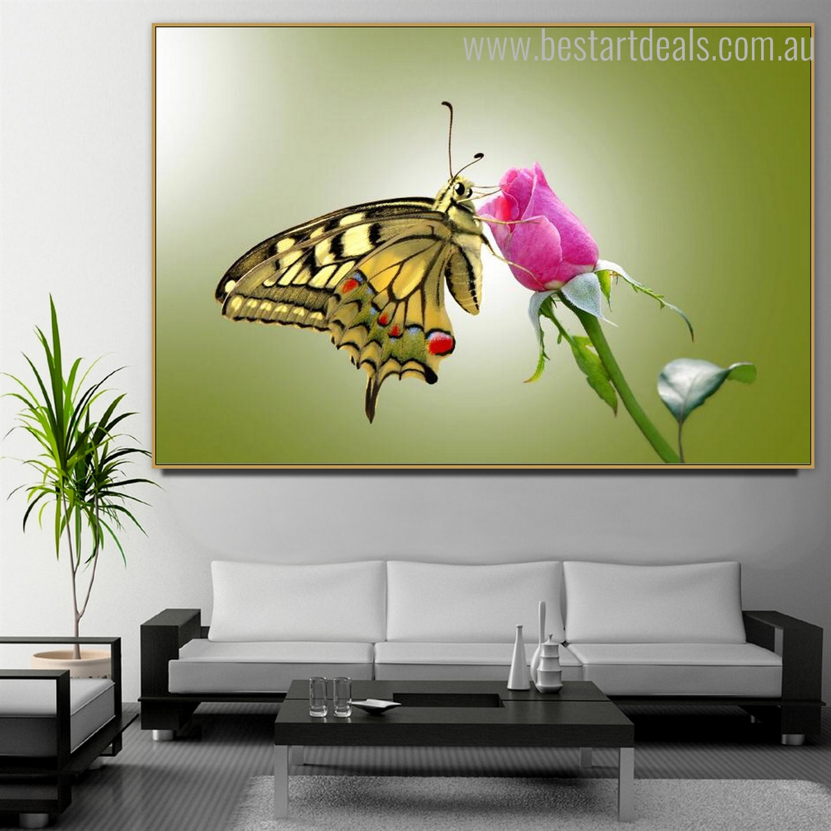 World Swallowtail Butterfly Animal Framed Contemporary Smudge Image Canvas Print for Room Wall Finery 