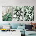 Cactus Worts Botanical Contemporary Framed Resemblance Picture Canvas Print for Room Wall Decoration