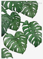 Green Monstera Botanical Modern Nordic Framed Smudge Photo Canvas Print