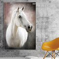 White Horse Face Animal Modern Framed Portrayal Pic Canvas Print for Room Wall Decor
