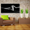 Half Woman Body Nude Modern Framed Painting Image Canvas Print for Room Wall Tracery
