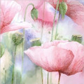 Watercolor Pink Poppy Flowers Painting Print