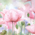 Abstract Watercolor Pink Poppy Flowers Canvas Print