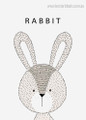 Rabbit Animal Cartoon Modern Painting Framed Portrait Canvas Print