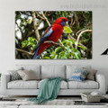 Violet Necked Lory Bird Modern Framed Painting Pic Canvas Print for Room Wall Onlay