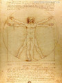 The Vitruvian Man is a Drawing Print 