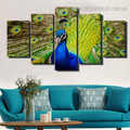 Peacock Spreads Tail Bird Modern Framed Painting Picture Canvas Print for Room Wall Assortment
