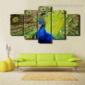 Peacock Spreads Tail Bird Modern Framed Painting Picture Canvas Print for Room Wall Decoration