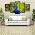 Peacock Spreads Tail Bird Modern Framed Painting Picture Canvas Print for Room Wall Equipment