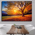 Beautiful Sunset Nature Framed Painting Picture Canvas Print for Room Wall Drape