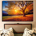 Beautiful Sunset Nature Framed Painting Picture Canvas Print for Room Wall Onlay