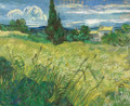Field with Cypress Van Gogh Botanical Reproduction Framed Painting Picture Canvas Print
