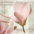 Three Magnolias Botanical Modern Framed Painting Pic Canvas Print