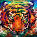 Tiger Animal Watercolor Framed Painting Picture Canvas Print