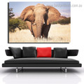 Brown African Elephant Animal Modern Framed Painting Photo Canvas Print for Room Wall Decor