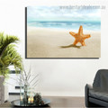 Starfish Landscape Nature Modern Framed Effigy Image Canvas Print for Room Wall Finery