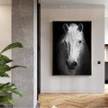 Horse Visage Animal Modern Framed Effigy Image Canvas Pint for Room Wall Decor