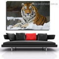 Jungly Tiger Animal Nature Modern Framed Painting Photo Canvas Print for Room Wall Tracery