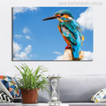 Common Kingfisher Bird Modern Photo Print