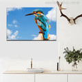 Common Kingfisher Bird Modern Photo Print for Living Room Wall Art