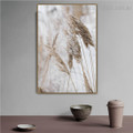 Dry Coastal Botanical Contemporary Framed Painting Picture Canvas Print for Room Wall Finery