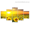 Sunflower Sunset Botanical Nature Modern Artwork Photo Canvas Print