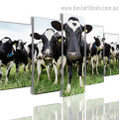 Cows Animal Landscape Framed Smudge Image Canvas Print