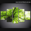 Green Foliage Tree Botanical Nature Landscape Modern Framed Painting Pic Canvas Print