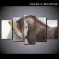 Stallions Animal Modern Painting Photo Canvas Print