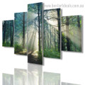 Deciduous Forest Trees Botanical Nature Modern Framed Effigy Photo Canvas Print