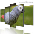 Psittacus Grey Parrot Bird Modern Artwork Picture Canvas Print for Room Wall Adornment