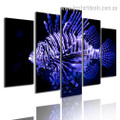 Lionfish Animal Modern Framed Painting Pic Canvas Print