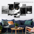 Cat Animal Modern Artwork Image Canvas Print for Room Wall Ornament