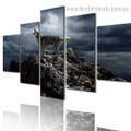 Solitary Wolf Animal Landscape Modern Framed Portraiture Picture Canvas Print