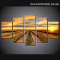 Farm Field Nature Landscape Modern Framed Effigy Picture Canvas Print