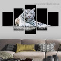 White Tiger Staring Animal Modern Artwork Photo Canvas Print for Room Wall Ornament