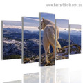 Mountain Wolf Animal Landscape Modern Artwork Photo Canvas Print for Room Wall Ornament