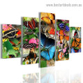 Multicolor Butterflies Animal Modern Artwork Photo Canvas Print for Room Wall Decoration