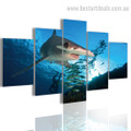 Hammerhead Shark Seascape Animal Modern Framed Painting Pic Canvas Print