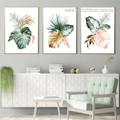 Cycas Foliage Monster 3 Piece Botanical Framed Stretched Watercolor Painting Photograph Abstract Canvas Print for Room Wall Adornment