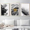Areca Palm Leaves Abstract Nordic Framed Stretched 3 Piece Botanical Artwork Photograph Canvas Print for Room Wall Arrangement