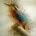 Hued Kingfisher Abstract Watercolor Animal Painting Canvas Print