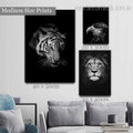 Tiger Lion Eagle Spots Abstract 3 Piece Framed Painting Set Modern Animal Photograph Rolled Canvas Print for Room Wall Moulding