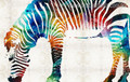 Hued Zebra Animal Abstract Modern Painting Canvas Print