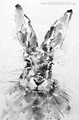 Rabbit Face Animal Abstract Modern Painting Canvas Print